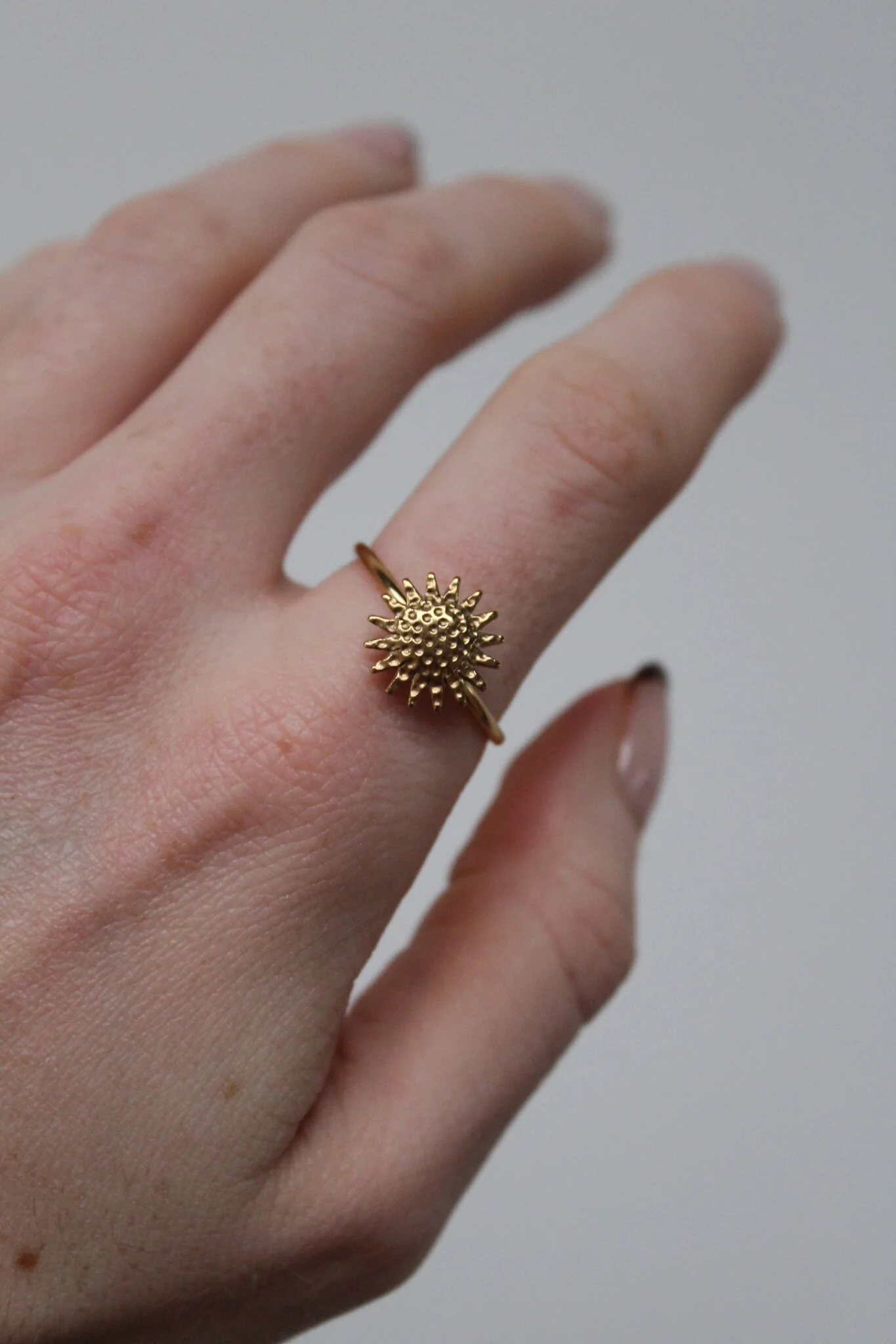 Miniature 2