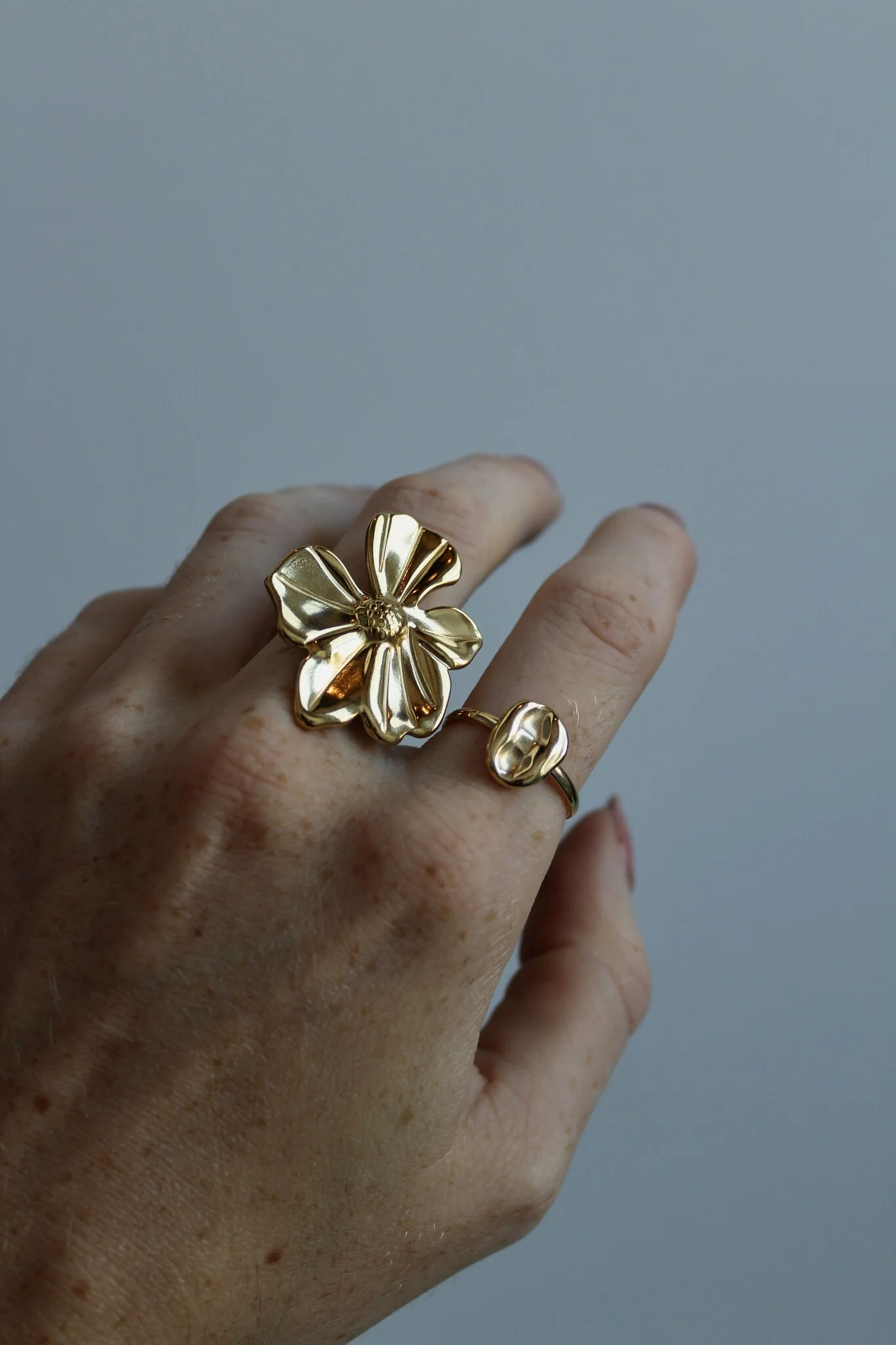 Miniature 2
